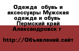 Одежда, обувь и аксессуары Мужская одежда и обувь. Пермский край,Александровск г.